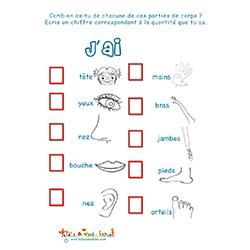 Parties du corps : j'en ai combien ?