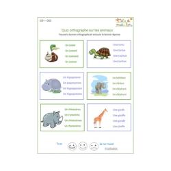 Exercices d'orthographe CE1 