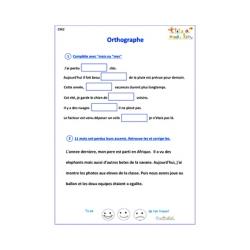 Exercices d'orthographe CM2