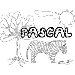 Pascal