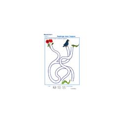 labyrinthe 5 : La chenille et le coquelicot