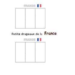 Mini drapeaux de la France
