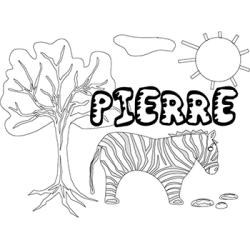 Pierre