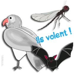 Jeu Pigeon vole
