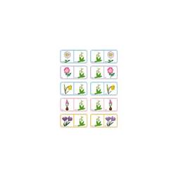Planche Dominos des fleurs 14