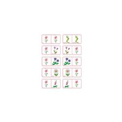 Dominos sur les fleurs - 2