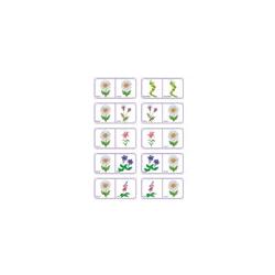 Dominos des fleurs a imprimer - planche 4