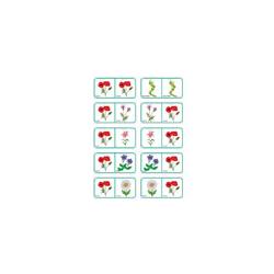 Dominos pour apprendre les fleurs 6