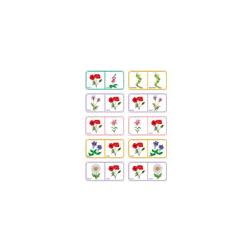 Dominos sur le nom des fleurs -planche 7