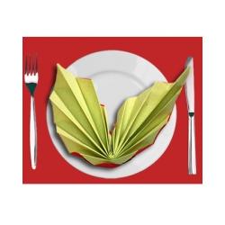 Pliage serviette grandes ailes bicolores