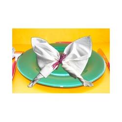 pliage de serviette en papillon