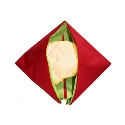 Pliage serviette pochette