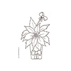 Coloriage d'une plante