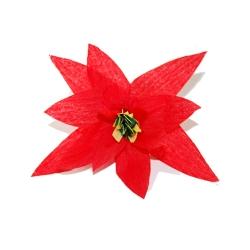 poinsettia étoile de Noël