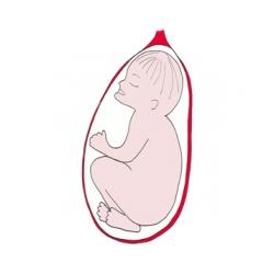 La présentation la face. Bébé se présente bien par la tête, mais la face en avant. Bébé présente la partie la plus large de sa tête. Cette présenta