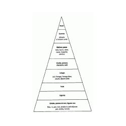 pyramide des besoins alimentaires