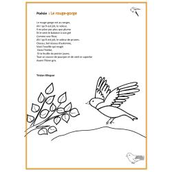 Poésie Le rouge-gorge