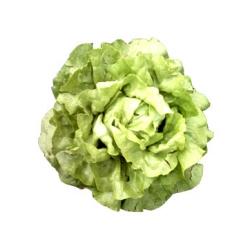 Les salades