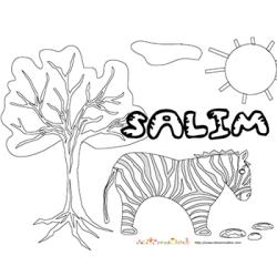Salim