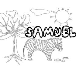 Samuel