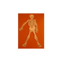 Fiche pratique pour créer un squelette d'halloween animé, à faire à partir de 5 ans accompagné et 7 ans seul