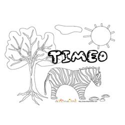 Timeo