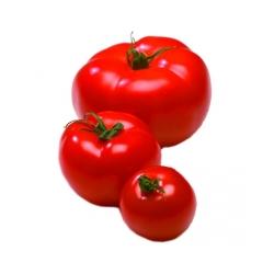 La tomate