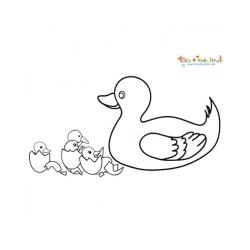 Coloriages vilain petit canard