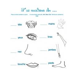 Exercices de vocabulaire sur le corps