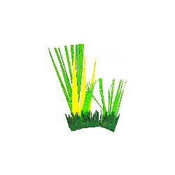 herbes de la savane pour les bricolages