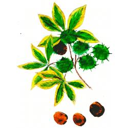 Marrons d'automne peints par un enfant