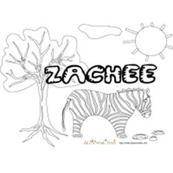 Zachée