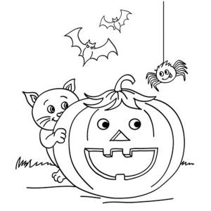 Coloriage d'une araignée avec une citrouille d'Halloween | Tête à modeler