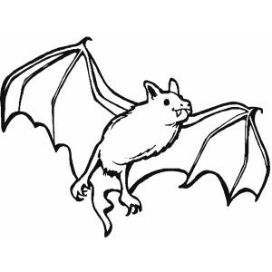 Coloriage d'une chauve-souris facile