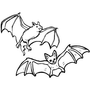 Coloriage d'une chauve-souris réaliste