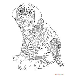 Voici un coloriage loup à imprimer gratuitement. Un dessin de loup à imprimer pour tous les petits amoureux des animaux. Page 9