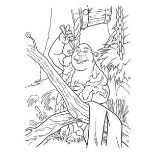 Coloriage de Shrek dans le bain marécageux