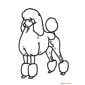 Coloriage d'un caniche Disney