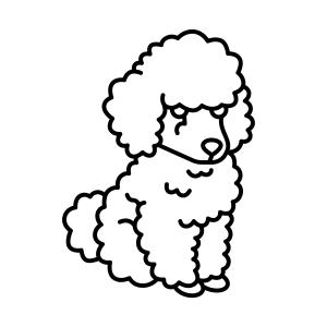 Coloriage d'un caniche original à imprimer