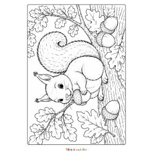 Coloriage d'un écureuil avec des feuilles d'automne à imprimer