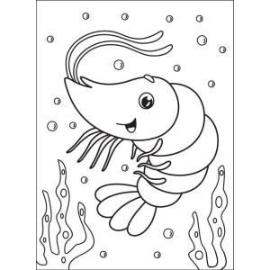 Coloriage d'une crevette pour maternelle