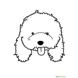 Coloriage d'une tête de caniche à imprimer