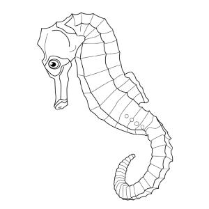 Dessin d'un hippocampe