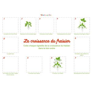 Sur cette planche de jeu, certaines vignettes du cycle de vie du fraisier sont placées au bon endroit. Votre enfant doit simplement compléter le cycle de vie du fraisier.