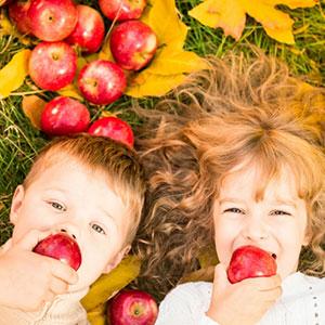 10 idées d'activités à faire avec votre enfant pour l'automne. Il n'y a que du l'embarras du choix pour occuper les petits loups.