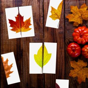 Activité d'Automne : Le jeu de puzzle avec les feuilles d'Automne