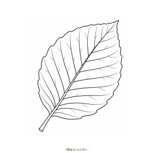 Coloriage d'un paysage d'automne