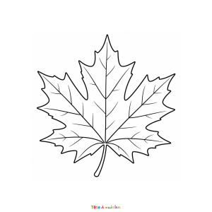 Découvrez une magnifique feuille d'érable à colorier gratuitement. Le coloriage parfait pour célébrer l'automne.