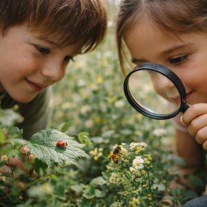 Observer les insectes avec les enfants : apprendre à respecter la nature en douceur