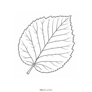 Coloriage d'un paysage aux couleurs de l'automne